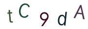 圖片的 CAPTCHA